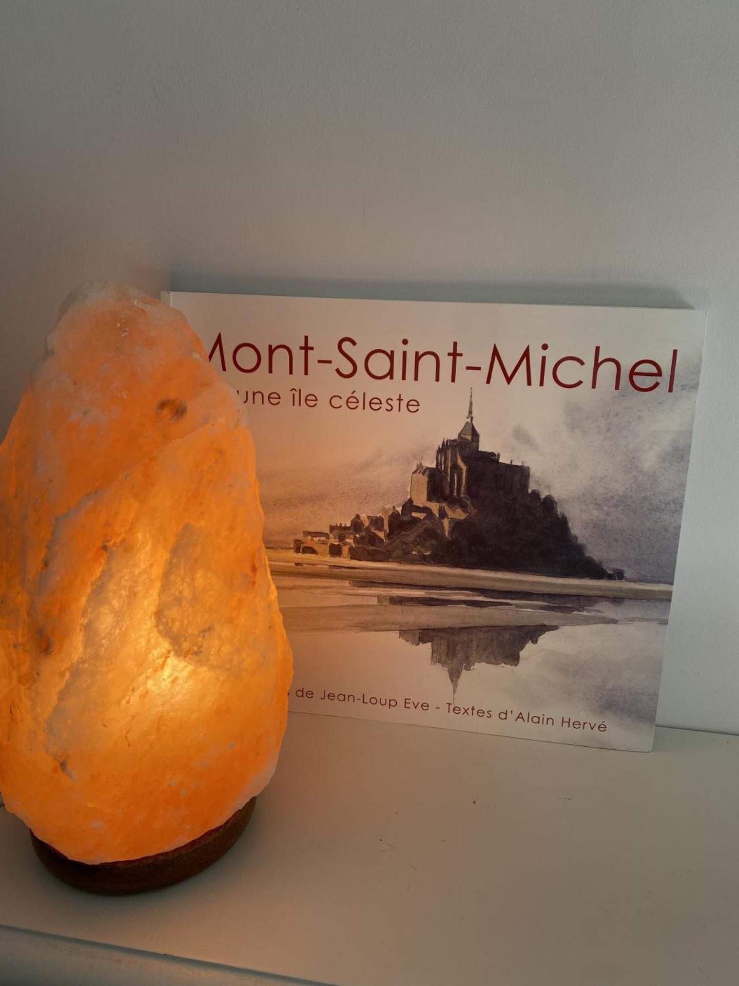 L'Oree Du Mont Proche Du Mont Saint Michel بونتورسون المظهر الخارجي الصورة